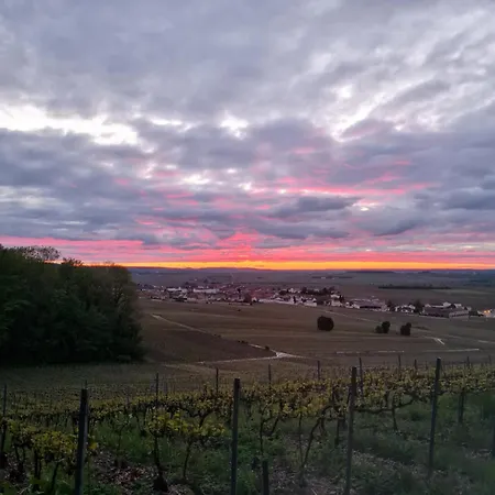 Maison Village Vignoble Avec Balneo Mailly-Champagne Esterno foto