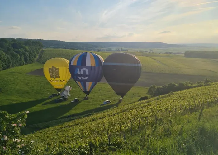 Maison Village Vignoble Avec Balneo