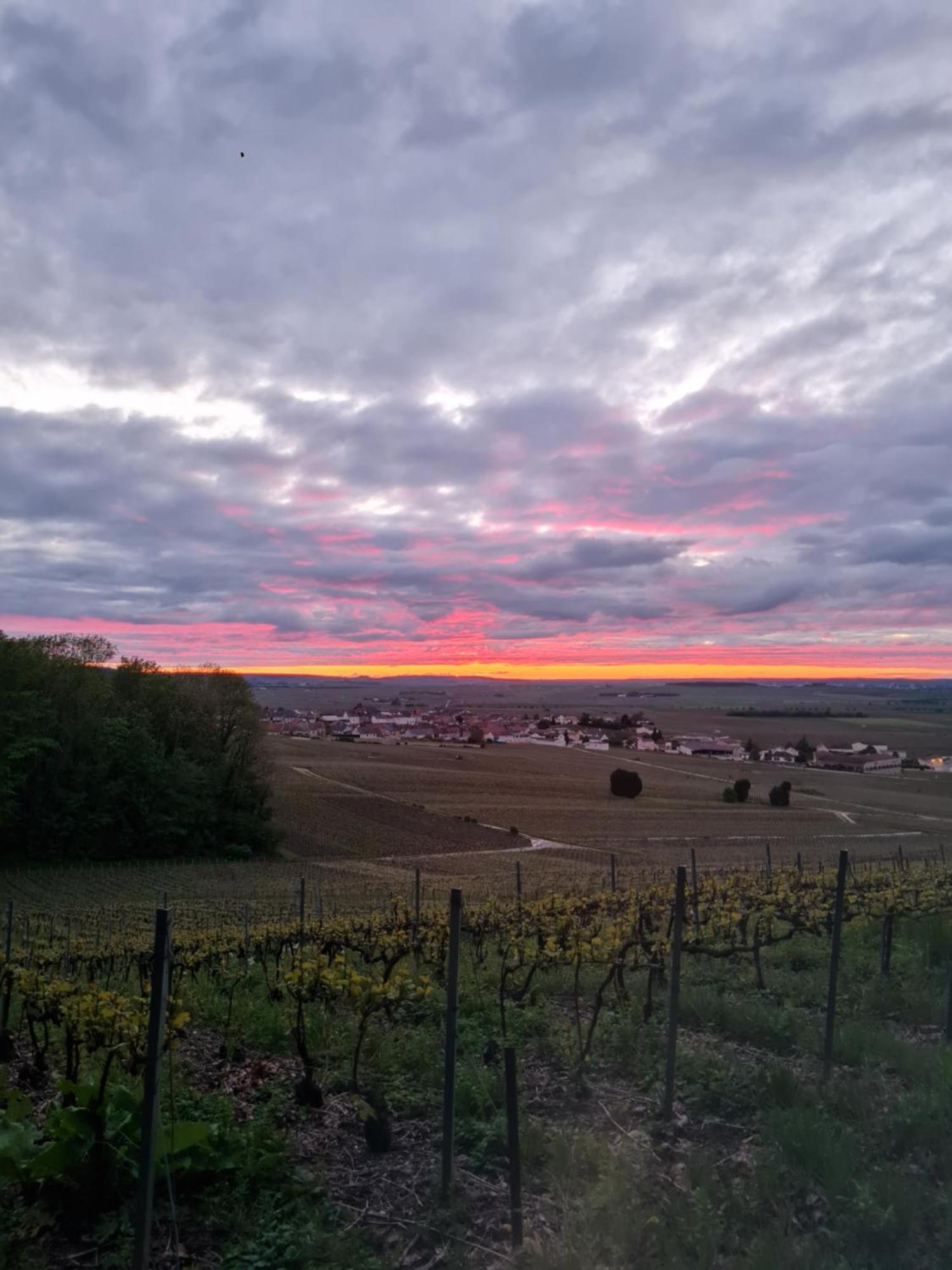 Appartement Maison Village Vignoble Avec Balneo