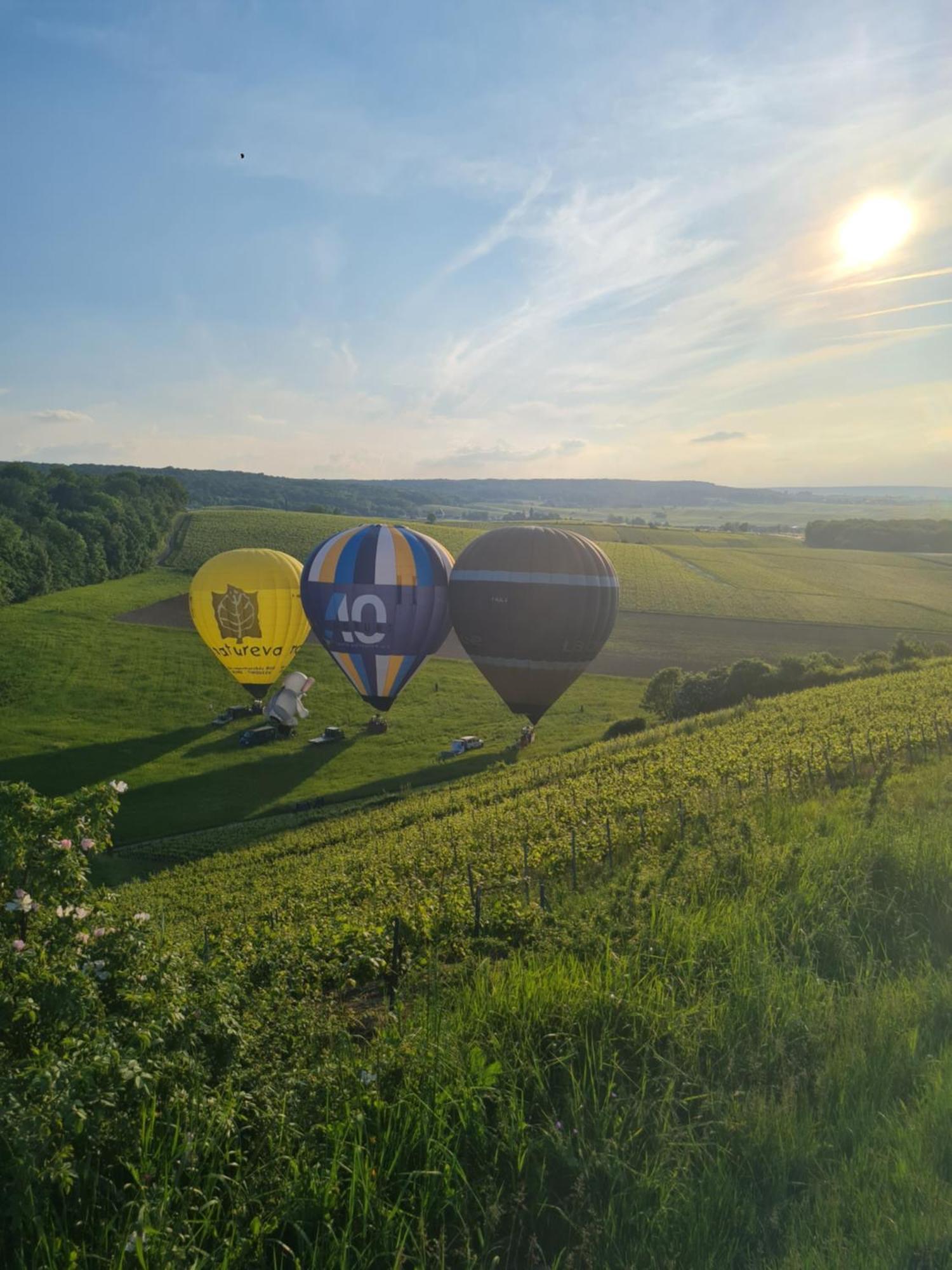 Apartment Maison Village Vignoble Avec Balneo Mailly-Champagne
